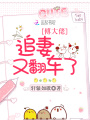 傅大佬追妻又翻車了