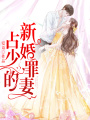 占少的新婚罪妻