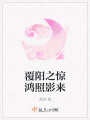 覆陽(yáng)之驚鴻照影來