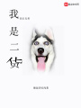 我的隊友都是二貨