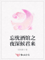 忘憂酒館之夜深候君來