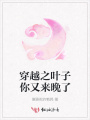 穿越之葉子你又來(lái)晚了