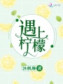 遇上檸檬