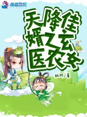 天降佳婿之玄醫農女
