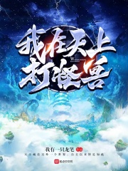 我在天上打怪獸