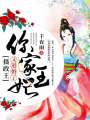 攝政王，你家王妃又退婚了
