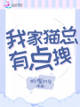 我家貓總有點拽
