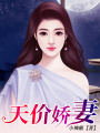 天價嬌妻