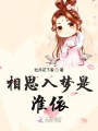 相思入夢是淮依