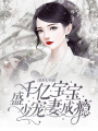 千億寶寶：盛少寵妻成癮