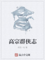 高宗群俠志