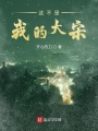 這不是我的大宋