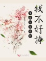 穿越之古代的錢不好掙