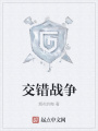 交錯戰(zhàn)爭