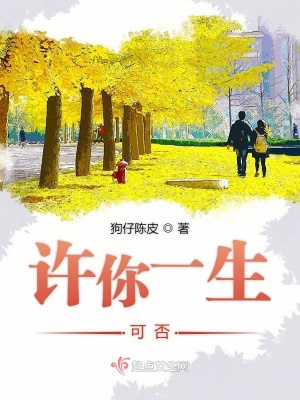 許你一生可否