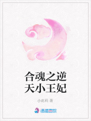 合魂之逆天小王妃