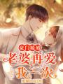 豪門暖婚：老婆再愛我一次
