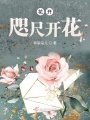 花開(kāi)咫尺開(kāi)花