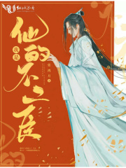 我是他的不二臣