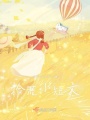 拾荒小短文