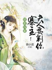 萌差探案：寨主！夫人要剿你