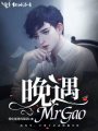 晚遇MrGao