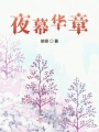 夜幕華章