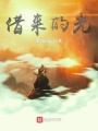借來(lái)的光