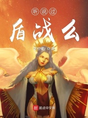 聽說過盾戰么