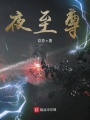 夜至尊