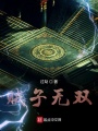 賊子無雙