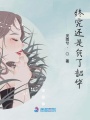 終究還是負了韶華
