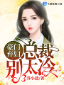 豪门弃妇：总裁别太冷