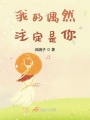 我的偶然注定是你