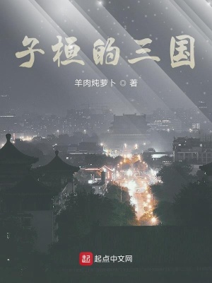 子桓的三國