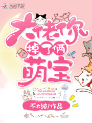 大佬你掉了倆萌寶
