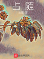 占隨2