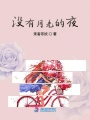 沒有月光的夜