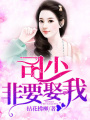 司少非要娶我