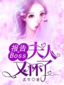 報告Boss：夫人又懷了