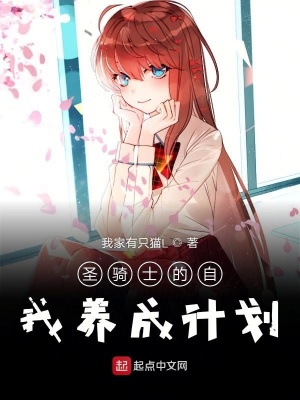 圣騎士的自我養成計劃