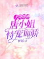 天降暖婚：唐小姐恃宠而骄