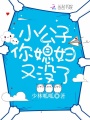 小公子你媳婦又沒了