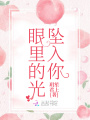 坠入你眼里的光