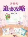 沈律師追妻攻略