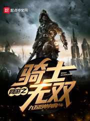 網游之騎士無雙