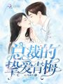 總裁的摯愛青梅