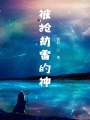 被抢劫雷的神