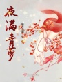 夜滿(mǎn)青蘿