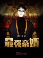 最強帝婿